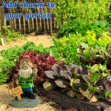 Load image into Gallery viewer, Go Away Gnome with Middle Finger, Gnome Flipping The Middle Finger, Garden Gnomes Decoration, Funny Gnomes Inappropriate, Christmas Lawn Ornaments, Outdoor Statues Decorations (Go Away, S)
