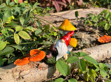 Load image into Gallery viewer, Cliocoo 5pcs Gnome Miniature Set for Fairy Garden, Lovely Resin Dwarf Figurines Kit for Garden Yard Patio Outdoor Home Decoration (Gnome Set-2)
