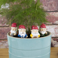 Load image into Gallery viewer, Gift Republic GR450112 Gnomes Plant Pot, Multi-Colour, 8.0 cm*14.0 cm*3.5 cm

