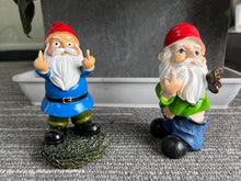 Load image into Gallery viewer, Funny Garden Gnomes, Colorful Garden Ornaments Double Middle Finger Outdoor Naughty Resin Gnome Figurine Gift 13.97cm
