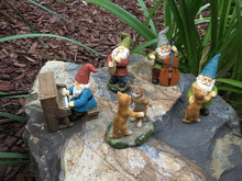Load image into Gallery viewer, GlitZGlam Happy Miniature Gnomes and Cats Dancing Celebration! - 6-Piece Musical Garden Gnome Set for the Miniature Fairy Garden
