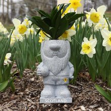 Load image into Gallery viewer, FOCO Official Scotland Football Stone Effect Outdoor Garden Planter Gnome
