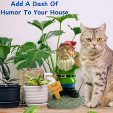 Load image into Gallery viewer, Go Away Gnome with Middle Finger, Gnome Flipping The Middle Finger, Garden Gnomes Decoration, Funny Gnomes Inappropriate, Christmas Lawn Ornaments, Outdoor Statues Decorations (Go Away, S)
