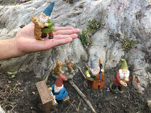 Load image into Gallery viewer, GlitZGlam Happy Miniature Gnomes and Cats Dancing Celebration! - 6-Piece Musical Garden Gnome Set for the Miniature Fairy Garden
